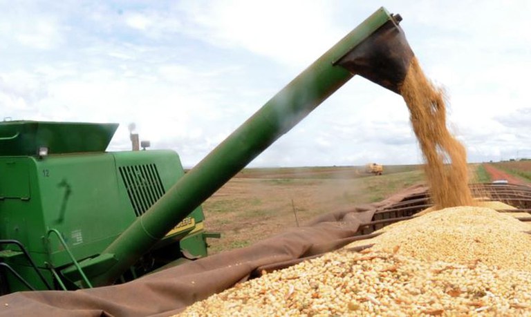 Produção de soja é destaque nas exportações do Piauí (Agência Brasil)