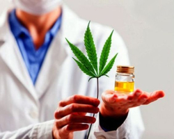 Anvisa autoriza fabricação de novo medicamento à base de cannabis