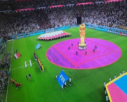 Aposta no Brasil na Copa do Mundo no Qatar em cinco passos