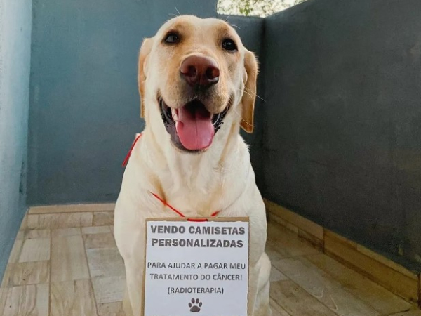 Dona de cadela com câncer vende camisetas para custear tratamento 