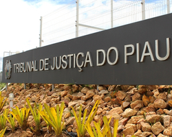 TJ divulga guia sobre processo de adoção no Piauí no Dia Mundial da Adoção