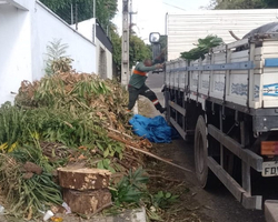 Equatorial Piauí e PMT se unem em ação de recolhimento de resíduos de podas
