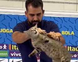 Assessor da CBF joga gato no chão em coletiva de Vinicius Jr e web reage
