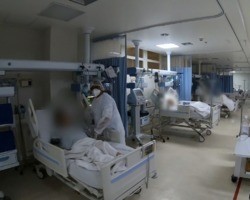 Saúde: Ministério confirma 3 casos da linhagem BA.2 da ômicron no Brasil