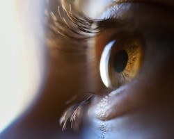 Câncer nos olhos pode causar cegueira ou metástase
