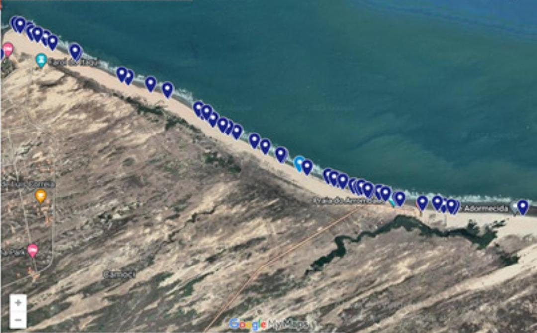 Indicação dos ninhos ao longo da orla da praia de Luís Correia | FOTO: Instituto Tartarugas do Delta