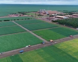 5G chega para revolucionar o agronegócio brasileiro