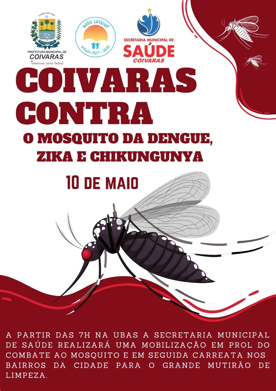 COMBATE À DENGUE: Prefeitura investe no combate ao mosquito Aedes aegypti - Imagem 1