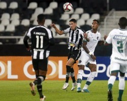 Botafogo x Goiás se enfrentam nesta segunda; prováveis times e desfalques