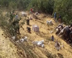 Carreta carregada de milho tomba e populares saqueiam carga no Sul do Piauí