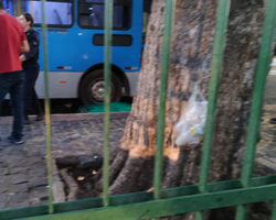 Jovem morre após ser atropelada e arrastada por ônibus na Praça Saraiva