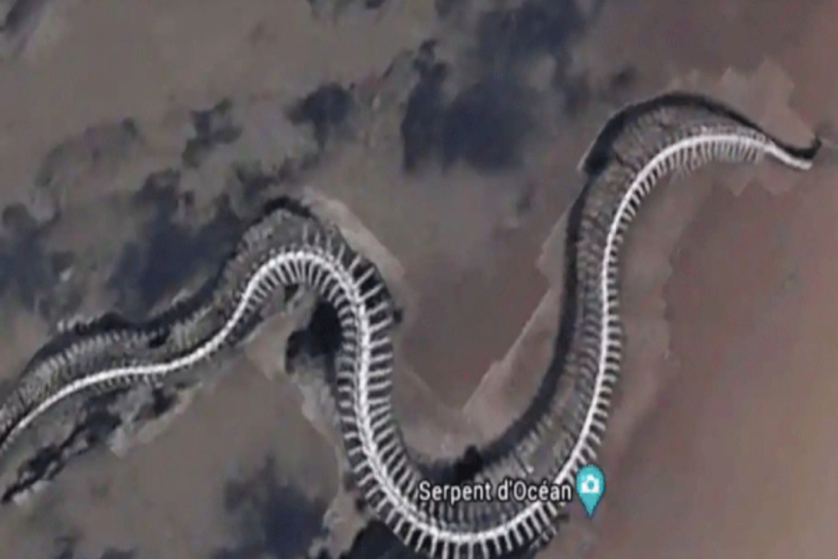 Google Maps: esqueleto gigante de cobra é achado e gera polêmica