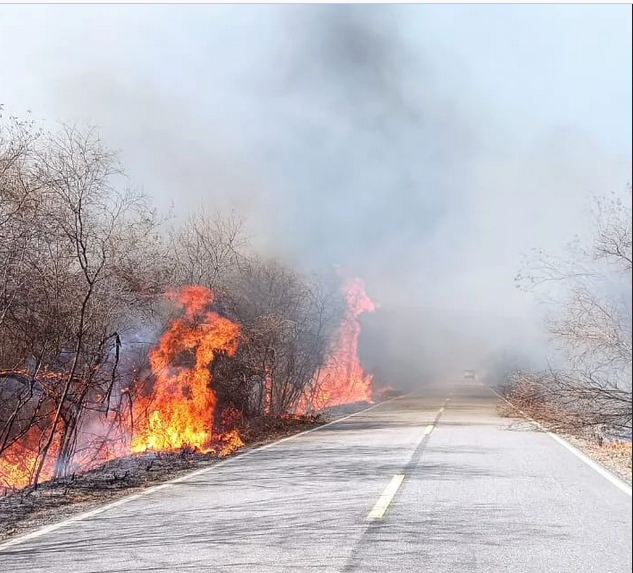 Focos de queimadas são registrados em maior número desde agosto | FOTO: Reprodução