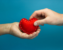 Como ser doador de órgãos? Tire suas dúvidas e ajude a salvar vidas
