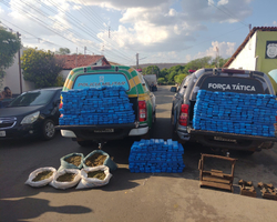 Homem é preso com mais de 500 tabletes de maconha em sítio no Piauí