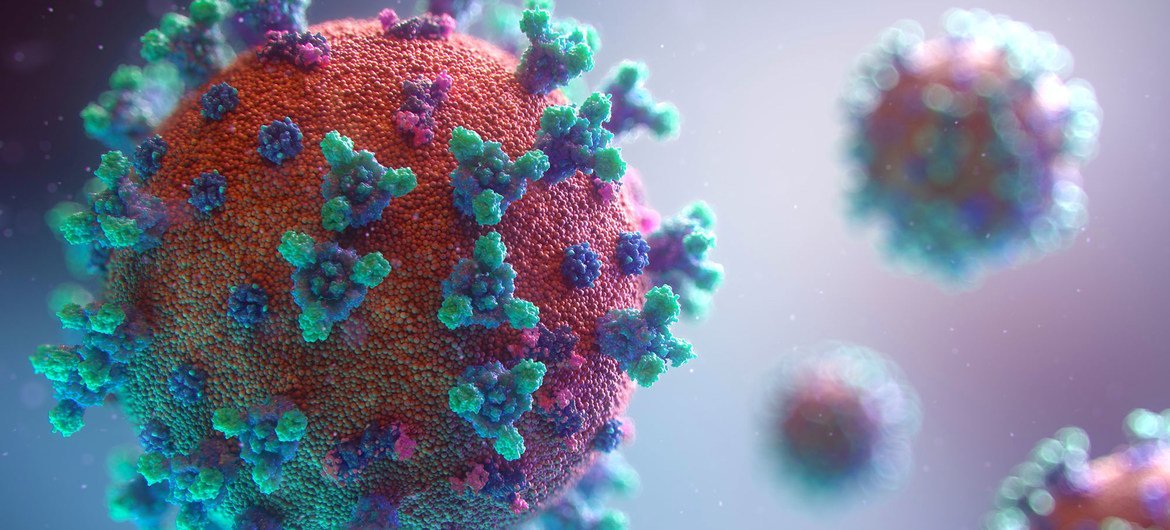 Antiviral para combater a Covid-19 deve chegar ao Brasil nas próxima semanas- Foto: Unsplash/Fusion Medical Animation
