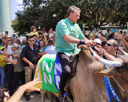 Bolsonaro monta em touro e garante que vai ganhar eleição no primeiro turno