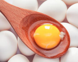 Conheça 10 benefícios do ovo para seu corpo e sua saúde