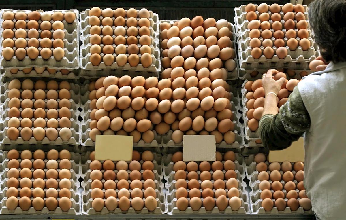 Países enfrentam disparada de preços e falta de ovos nos supermercados (Foto: Reprodução)