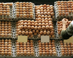 Países enfrentam disparada de preços e falta de ovos nos supermercados 