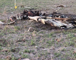 Cinco pessoas roubam avião e morrem após aeronave cair na Argentina