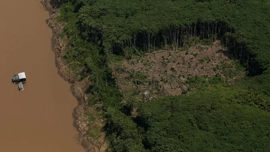 Áreas federais são 80% das terras desmatadas na Amazônia em 2022