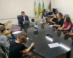 Piauí vai implementar protocolo espanhol para violência contra mulher