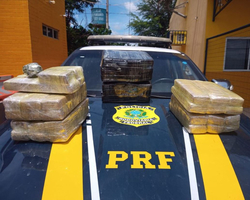 PRF apreende 50 kg de maconha com passageiros de ônibus em Picos