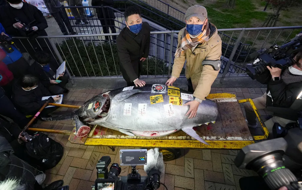 Atum é comprado por mais de R$ 1 milhão em leilão de Ano Novo no Japão (Foto: Reprodução/Kyodo via Reuters)