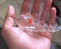 Vídeo de criatura marinha viraliza e gera curiosidade nas redes sociais