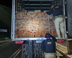 PRF apreende caminhão com carga de 36 m³ de madeira ilegal em Floriano