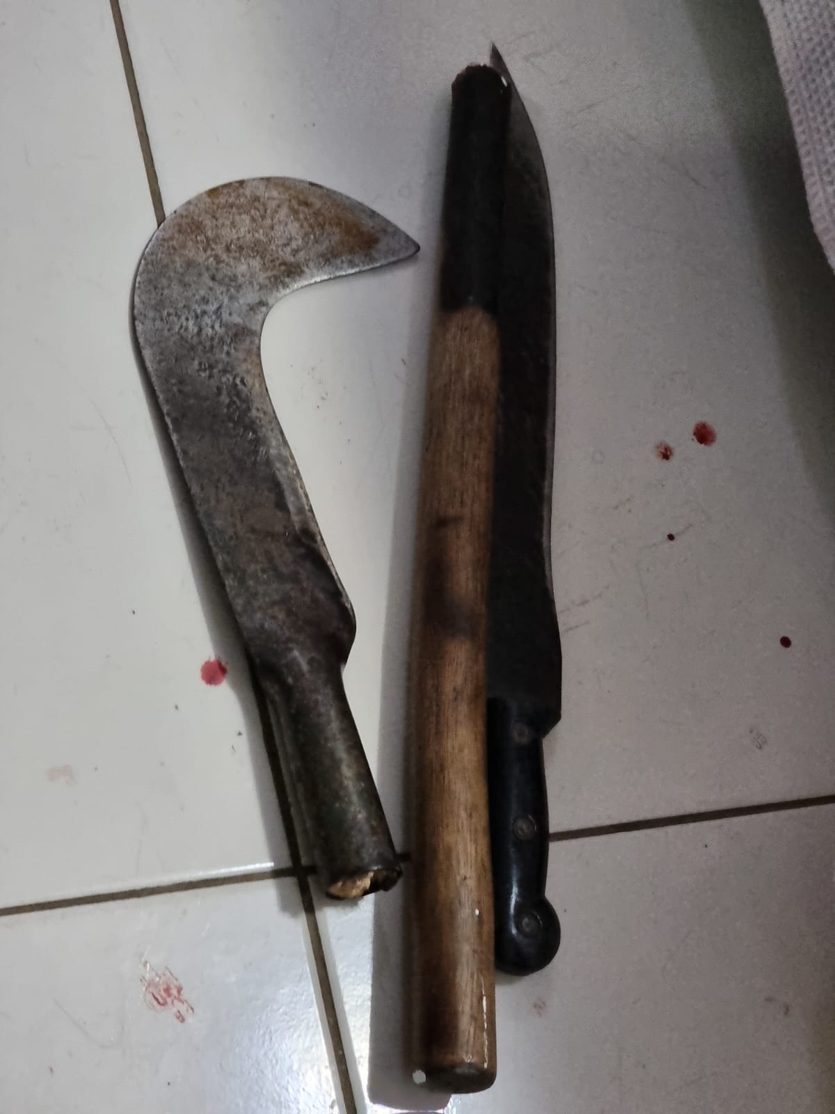 Foice e facão utilizados no crime pelo preso (Foto: Imagem cedida ao Meionorte)