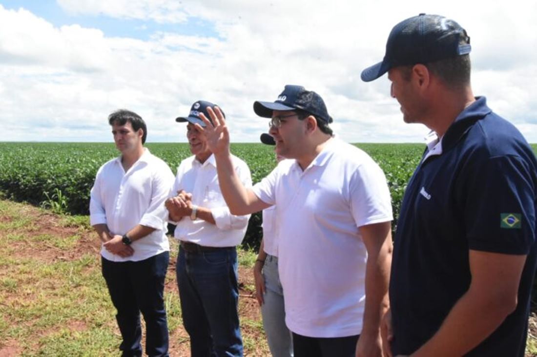 Agronegócio: Piauí deve ter nova safra recorde de grãos em 2023 - Imagem 1