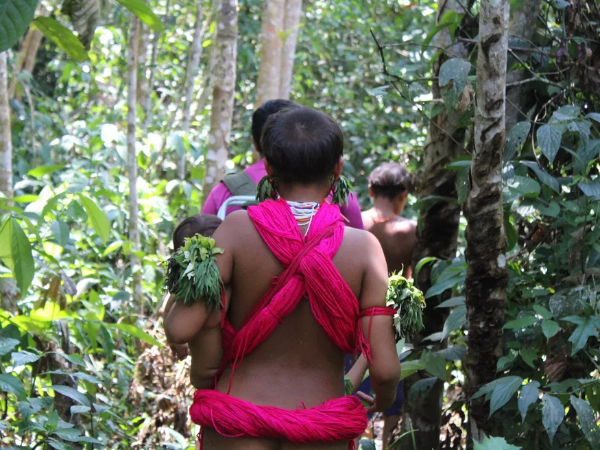 Governo investiga abuso contra 30 adolescentes Yanomami grávidas