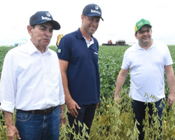 Agronegócio: Piauí deve ter nova safra recorde de grãos em 2023