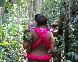 Governo investiga abuso contra 30 adolescentes Yanomami grávidas
