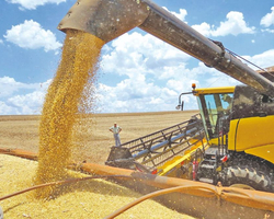 Em 2023, o Piauí terá o sétimo ano seguido de recorde na produção de grãos