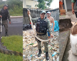 BPA resgata jacaré, jiboias e tamanduá de área residencial em Teresina