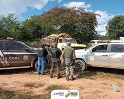 Semar identifica desmatamento ilegal em área de litígio no Sul do Piauí