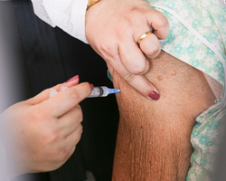 Teresina passa a aplicar a vacina bivalente em pessoas de 75 anos e mais